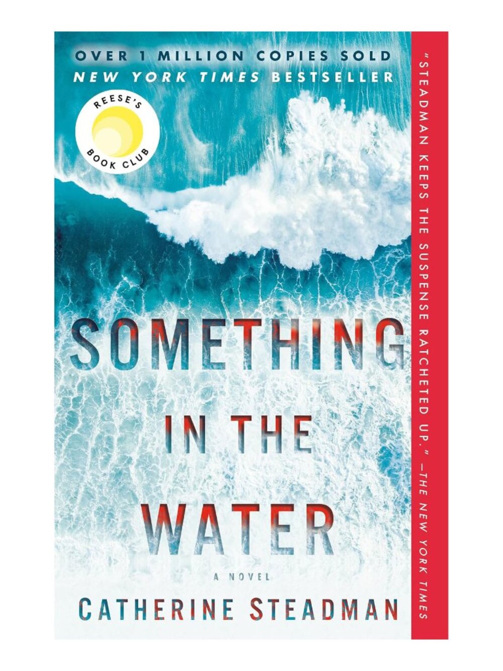 Something in the Water book